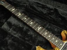 Paul Reed Smith [PRS] Custom 24-08 Yellow Tiger 【2024年製】_6