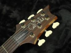 Paul Reed Smith [PRS] Custom 24-08 Yellow Tiger 【2024年製】_8