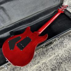 Paul Reed Smith [PRS] SE Custom 24 Ruby_7