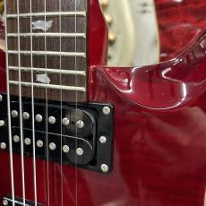Paul Reed Smith [PRS] SE Custom 24 Ruby_10