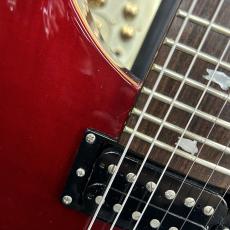 Paul Reed Smith [PRS] SE Custom 24 Ruby_11