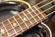 THE GENE SIMMONS Punisher Bass (Black)_5