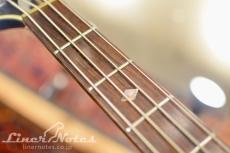 THE GENE SIMMONS Punisher Bass (Black)_6