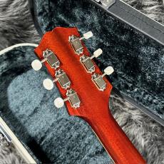 KING SNAKE Smith_8