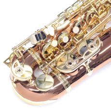 The Marcato アルトサックス AL-900Z_4