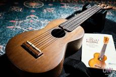 Martin S1 Uke_10