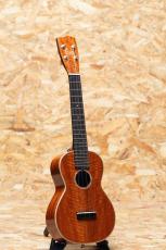 Sofla by YGK Concert Sinker Curly Mahogany 2021_3