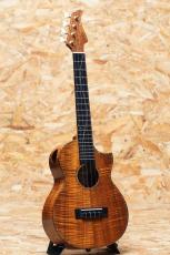 Seilen SLTC-286 2024_3