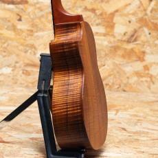 Seilen SLTC-286 2024_5