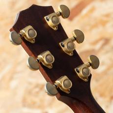 Taylor 810 1997_9