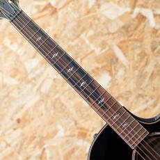 Taylor Builder's Edition 814ce Blacktop_6