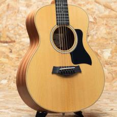 Taylor GS mini