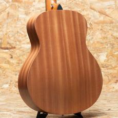 Taylor GS mini_2