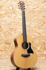 Taylor GS mini_3