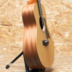 Taylor GS mini_4