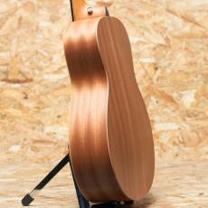 Taylor GS mini_5