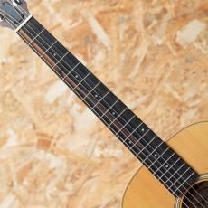 Taylor GS mini_6