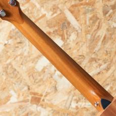 Taylor GS mini_7