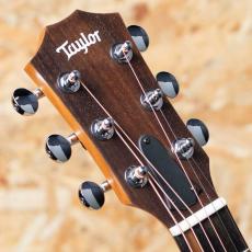 Taylor GS mini_8
