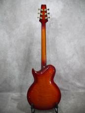 Aria Pro II PE-150_16