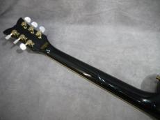 SCHECTER SOLO-6 Custom_10