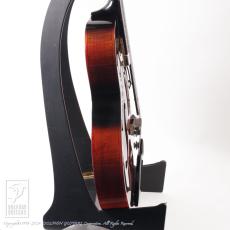 Ibanez AFC151-TBC_5