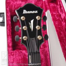 Ibanez AFC151-TBC_6