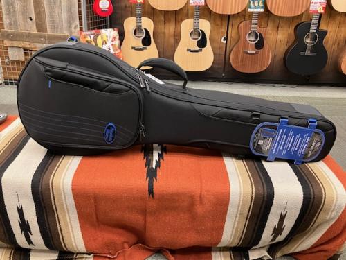 Reunion Blues RB Expedition Banjo Case
