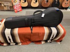 Reunion Blues RB Expedition Banjo Case_2