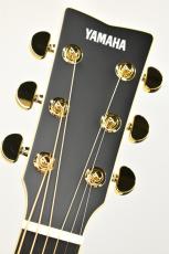 YAMAHA 【クロサワ横浜店】LL16D ARE BL 【総単板ボディ/エレアコ】【48回無金利分割可能】_5