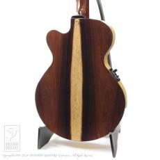 Crews Maniac Sound ES-1500C Premium Limited (Jacaranda) _3