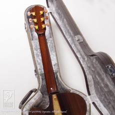 Crews Maniac Sound ES-1500C Premium Limited (Jacaranda) _9