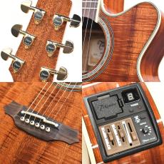 Takamine 【クロサワ横浜店】【ハワイアンコアボディ】FPT531KC N 【48回無金利分割可能】_9