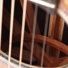 Greenfield Guitars G2 (Swiss Spruce & African Blackwood)_13