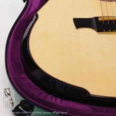 Greenfield Guitars G2 (Swiss Spruce & African Blackwood)_14