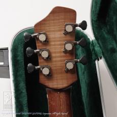 LHT Guitars Cadenza_7