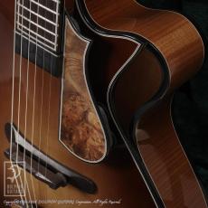 LHT Guitars Cadenza_15