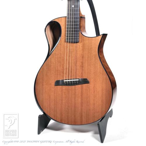 WILBORN GUITARS The Nautilus
