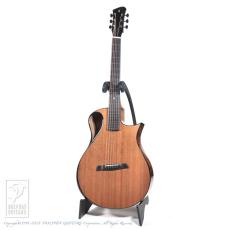 WILBORN GUITARS The Nautilus_2