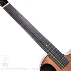 WILBORN GUITARS The Nautilus_5