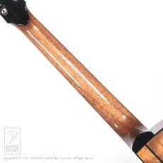 WILBORN GUITARS The Nautilus_6