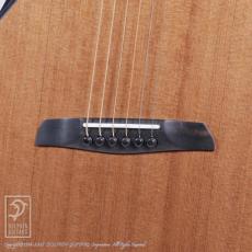 WILBORN GUITARS The Nautilus_10