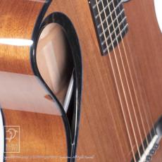 WILBORN GUITARS The Nautilus_11