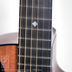 WILBORN GUITARS The Nautilus_12