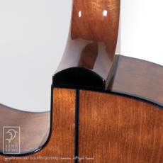 WILBORN GUITARS The Nautilus_13