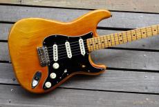 Fender Stratocaster_2
