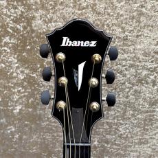 Ibanez AFC-151_5