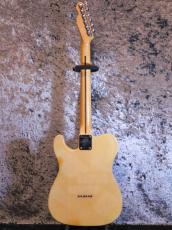 Fender Telecaster '76 BLD/R_2