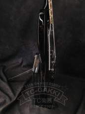 Gibson SG Standard_5