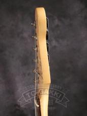 Fender USA American professional Stratocaster HSS_10